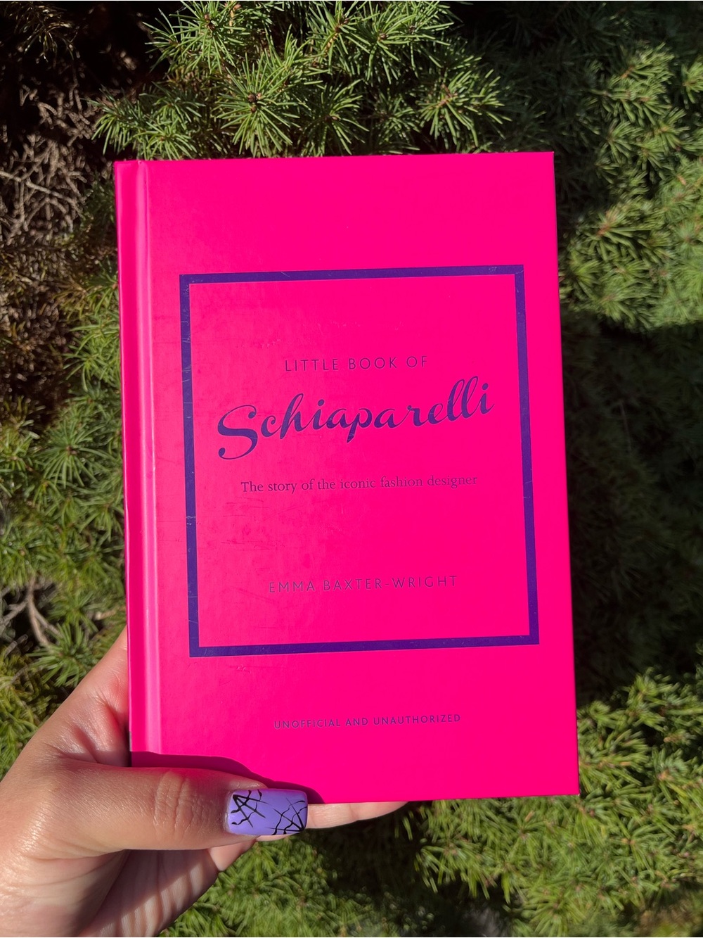 Little book of “Schiaparelli “